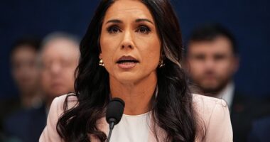 Tulsi Gabbard is at the center of explosive claims by a whistleblower accusing the CIA of removing files related to the assassination of John F. Kennedy and the MKUltra mind-control program from her office