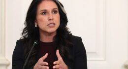 Another of Tulsi Gabbard's top deputies has quit over the Iran conflict