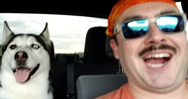 Andrew Beckham (pictured), a member of the Colorado National Guard, has accused his pet sitter of stealing his dog Maverick along with his car before leaving the animal for dead