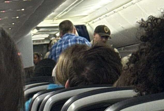 A United Airlines flight was forced to make an emergency landing after a passenger allegedly tried to storm the cockpit