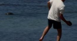 Igor Lytvynchuk, 38, was seen on camera throwing a rock at a Hawaiian monk seal on May 5 in Lahaina
