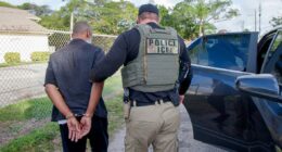 ICE making arrest