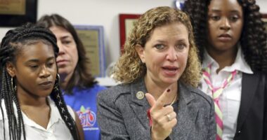 Wasserman Schultz Poaches 'Black District' For Political Survival – HotAir