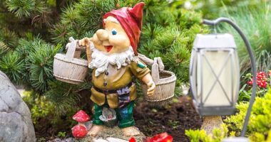 Tall, short, cheap or expensive, it's likely that most British gardens will be housing a gnome - but what do they reveal about your personality? Stock image used