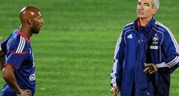 Raymond Domenech's brutal assessment of his French squad at the 2010 World Cup has been revealed, with Nicolas Anelka branded by the coach as a 'complete moron'