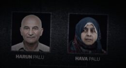 Where Are Harun and Hava Palu Today?