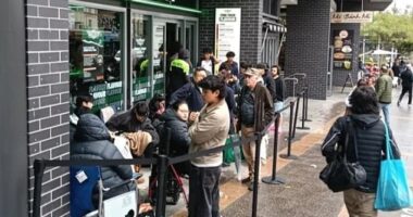 Sydney foodies are queuing outside the new Wingstop restaurant in Ashfield