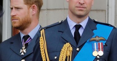 Prince William has allegedly barred any mention of Prince Harry in his presence following damaging revelations in his memoir Spare and the Sussexes' departure from Royal life