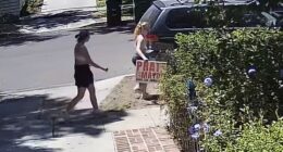 Video shared online appeared to show a woman in athletic clothing tucking a Spencer Pratt campaign sign under her arm before pulling it from the ground