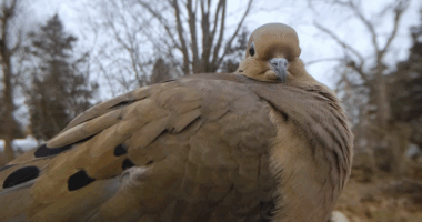 Woman Sets Up A Feeder Cam In Her Yard And The Photos Are Extraordinary (30 New Pics)