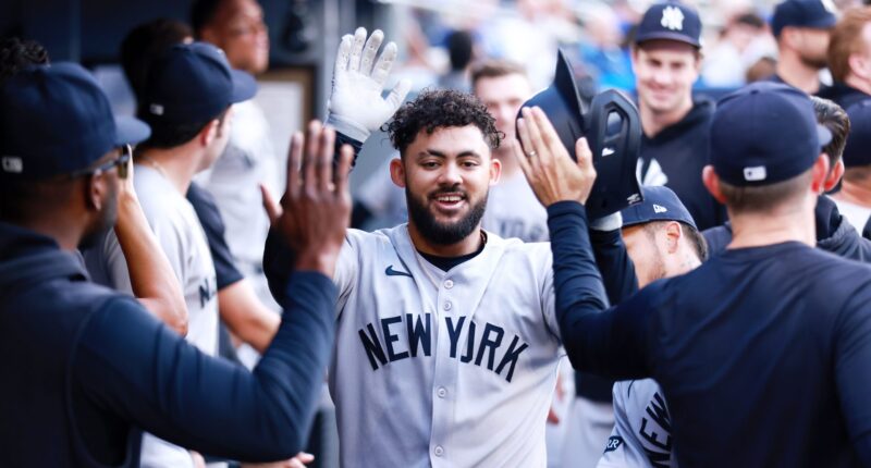 Yankees Jasson Dominguez Announcement Before Orioles Game