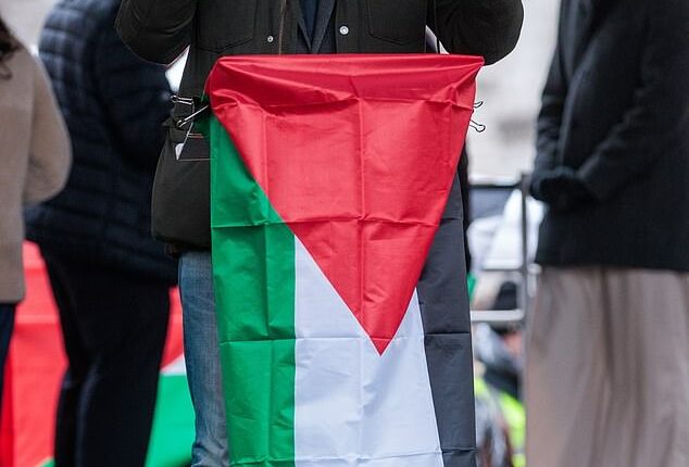 Zac Polanski speaking at a pro-Palestine rally in January 2025. At one time during his stint as a Lib Dem, Polanski was an enthusiastic Zionist