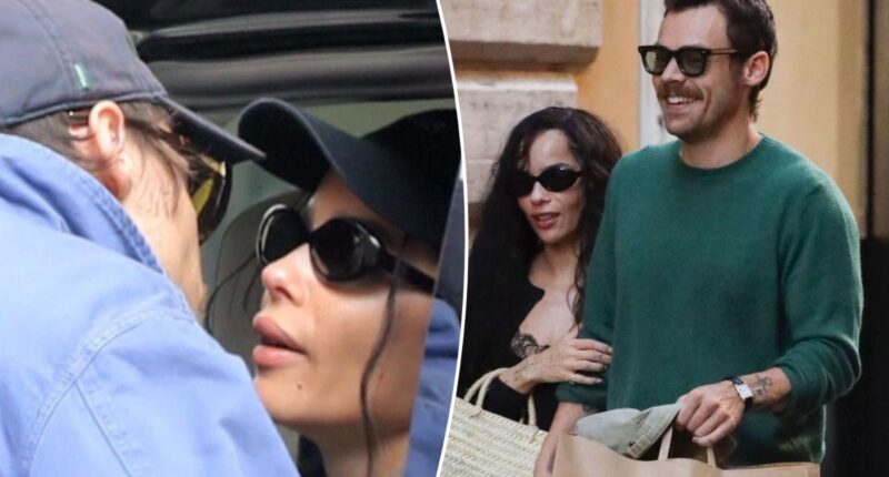 Zoe Kravitz and Harry Styles planning two weddings — and already talking babies: sources