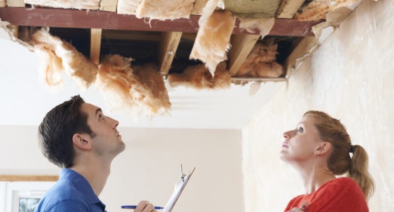 ‘Credit termites’ are lurking in the bond market and eating away at your portfolio