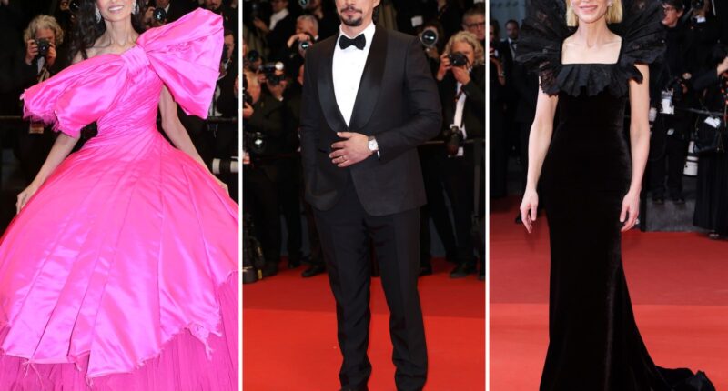 ‘Paper Tiger’ premiere red carpet at Cannes Film Festival 2026: Cate Blanchett, Adam Driver, Demi Moore and more