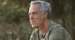 10 Thriller Shows That Are Perfectly Written