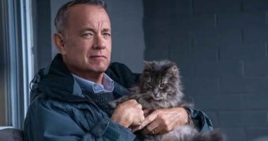 15 Movie Stars Who Just Never Miss