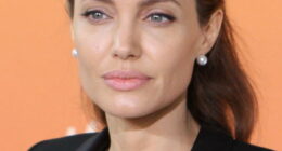 Angelina Jolie: Bio And Career Highlights