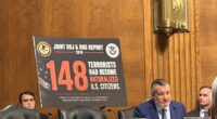 Senators Explore Avenues To Denaturalize Foreign Fraudsters