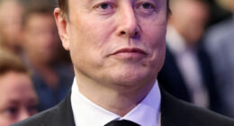 Elon Musk: Bio And Career Highlights