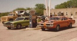 20 Vintage Muscle Cars in Their Natural Habitat for All the Gearheads