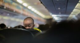 44 Of The Craziest Plane Interactions People Had To Go Through
