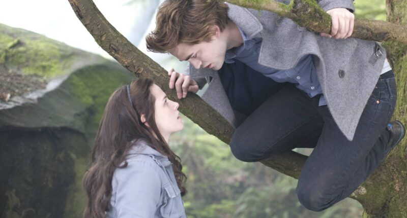 5 Supernatural Romance Books Of The Past 10 Years That Rival Twilight