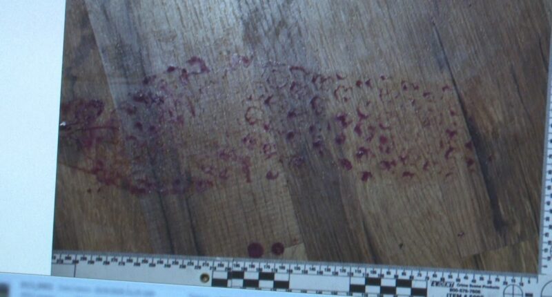 6 Gruesome Details Netflix ‘Maternal Instinct’ Left Out About Taylor Parker – TVovermind