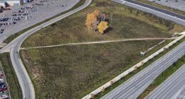75 “Desire Paths” That Show Human Stubbornness In The Best Way Possible (New Pics)