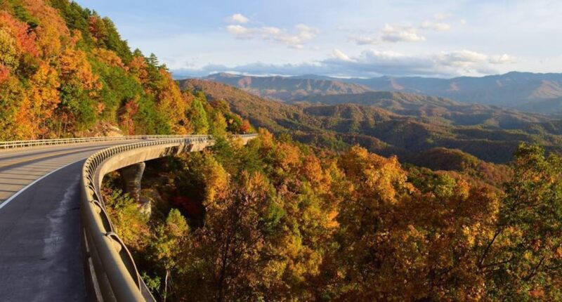 A Bicentennial Road Trip Taught Me What It Means To Be American