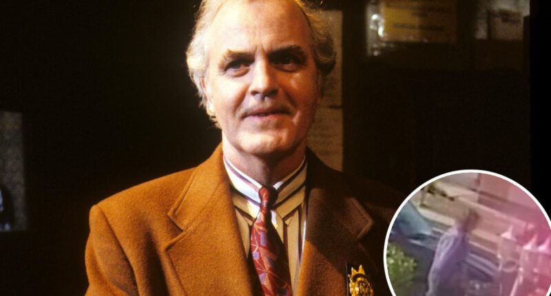 Actor James Handy's girlfriend's son charged with murder
