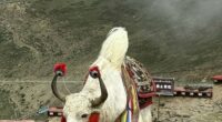 After Visiting Nearly 70 Countries, This Traveler Found China Unlike Anywhere Else (33 Pics)