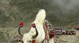 After Visiting Nearly 70 Countries, This Traveler Found China Unlike Anywhere Else (33 Pics)