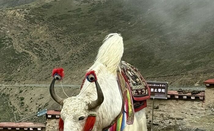 After Visiting Nearly 70 Countries, This Traveler Found China Unlike Anywhere Else (33 Pics)