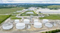 An oil bull’s ‘insane’ bet: Why this veteran trader is buying energy stocks as crude prices tumble