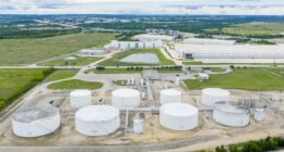 An oil bull’s ‘insane’ bet: Why this veteran trader is buying energy stocks as crude prices tumble