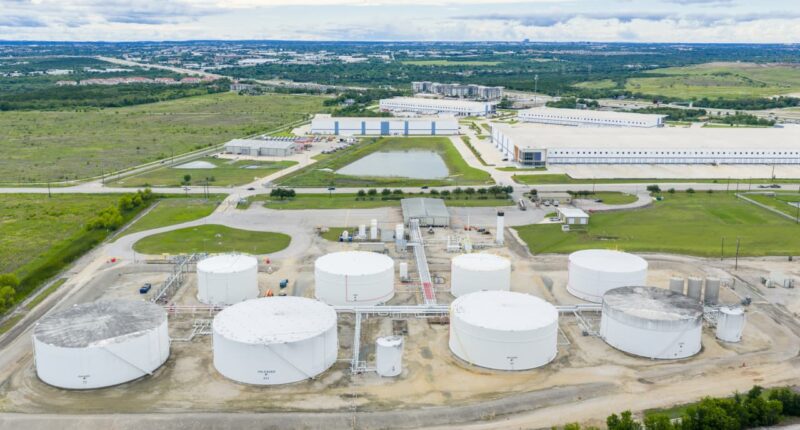 An oil bull’s ‘insane’ bet: Why this veteran trader is buying energy stocks as crude prices tumble