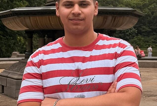 Romanch Mahajan, 18, died on June 16 in New York City after he flew out of a horse-drawn carriage in Central Park