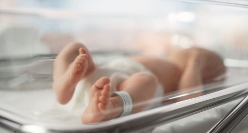 Another dire problem for Social Security: Trustees may be calculating the birth rate wrong