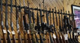 Are They Now Slow-Walking Firearms Purchase Background Checks? – RedState