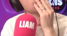 A listener named Kara, from Adelaide, left radio hosts and listeners stunned after sharing her unconventional love story on KIIS 1023's Ben & Liam (pictured) in the Morning, admitting even her friends think she's 'completely insane' for agreeing to a date with her Airtasker handyman