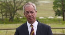 BBC Falsely Claims Farage Called for ‘White Cold Rage’ Over Henry Nowak’s Murder. – The National Pulse