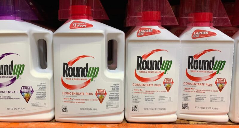 Bayer’s stock jumps after Supreme Court sides with Roundup weedkiller manufacturer