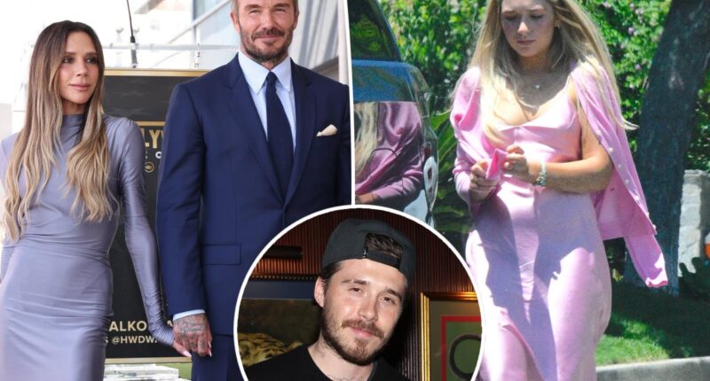 Beckham family hits back at claims Harper’s visit to Brooklyn’s house was staged: report