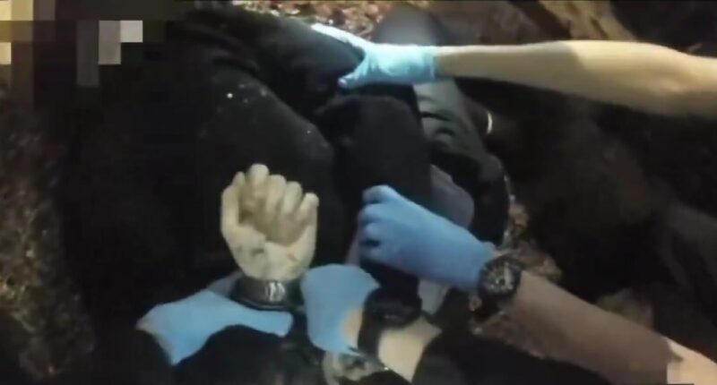 Bodycam Footage Shows Police Dragging Henry Nowak Across the Ground, Ignoring Pleas for Help as He Died. – The National Pulse