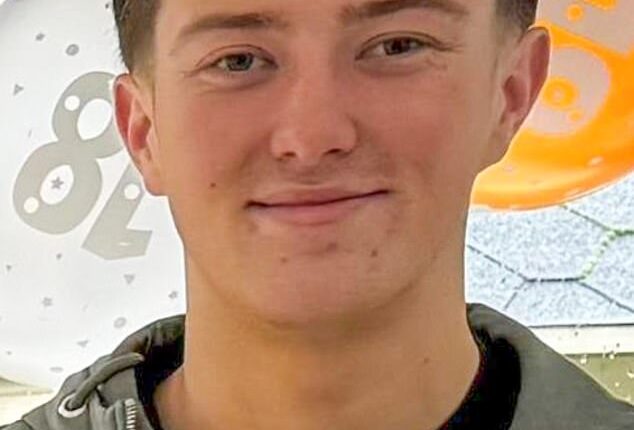 Henry Nowak (pictured), a first-year student at the University of Southampton, was stabbed to death in December last year by Vickrum Digwa, 23, who has since been convicted of murder