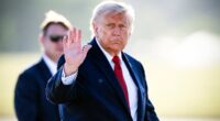 Bulletin AM briefing: Trump signs Iran peace deal and Robin Hood tree dies