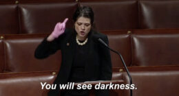 Cat Lady Democrats Are Trying To Skinsuit 'Normal Man'
