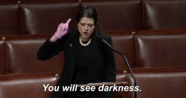 Cat Lady Democrats Are Trying To Skinsuit 'Normal Man'