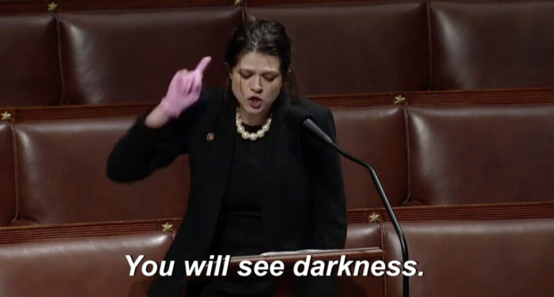Cat Lady Democrats Are Trying To Skinsuit 'Normal Man'